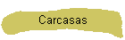 Carcasas