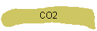 CO2